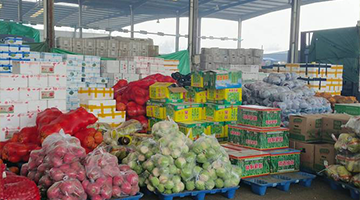 阿米玛玛大沙河