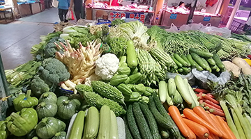 阿米玛玛何庄子